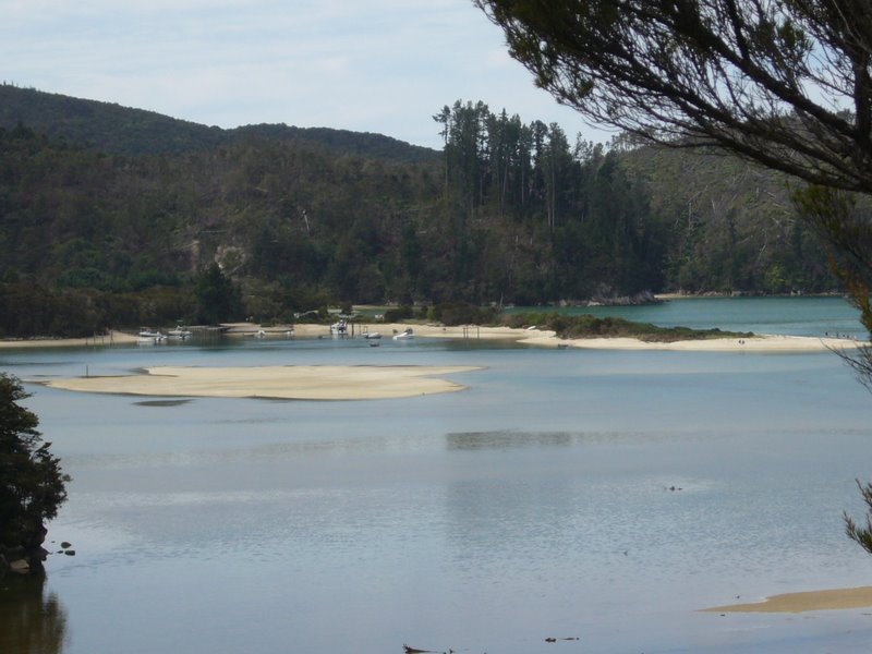 Travel - New Zealand - Abel Tasman National Park